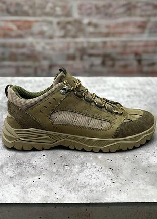 Демисезонные кроссовки крейзи хорс 3d сетка tr подошва 1 pu стелька 38-48 размер dm-11