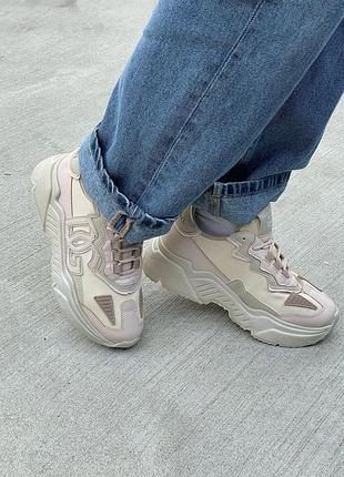 🤑 dolce & gabbana daymaster beige