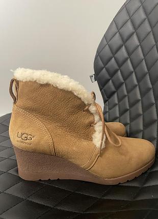 Черевики ugg 5