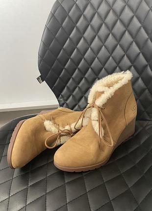 Черевики ugg 3