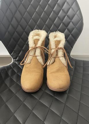 Черевики ugg 2