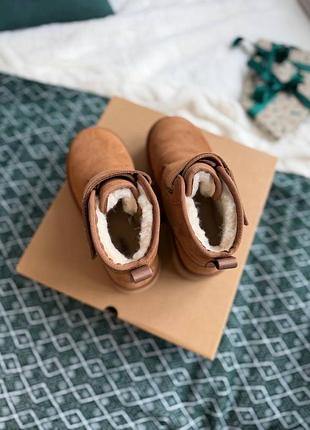 Ugg neumel platform chukka chestnut 6