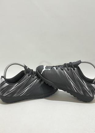 Сороконожки puma 5