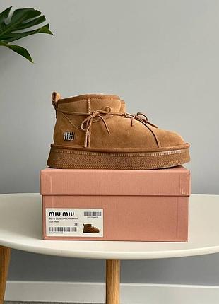 Miu miu winter boot chestnut