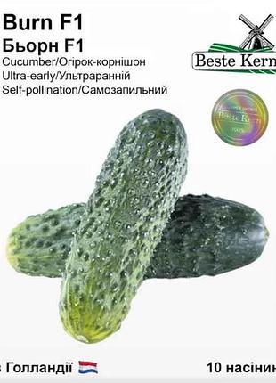 Огірок бьорн f1 (10 насінин)/(5 пачок в упаковці) тм beste kern