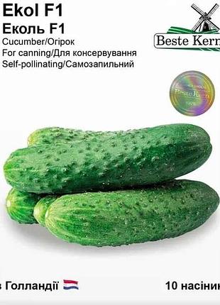 Огурец эколь f1 (10 семечек)/(5 пачек в упаковке) тм beste kern