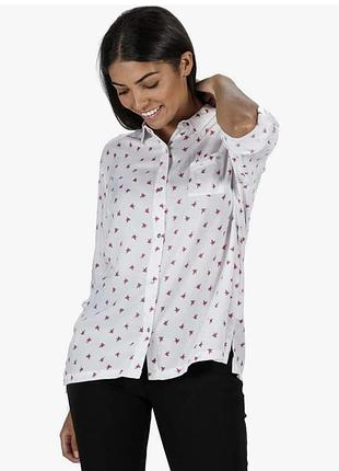 Сорочка жіноча