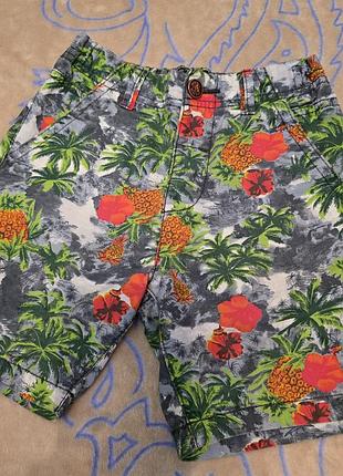 Детские шорты next, 5 лет, 110 см, качественные шорты, хлопковые шорты