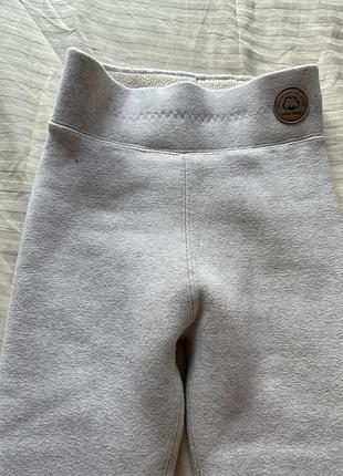 Лосини зимові