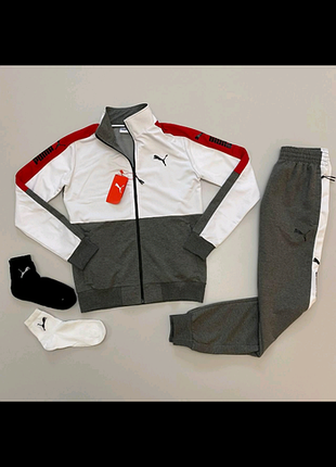 Спортивные костюмы puma в 3-х цветах!