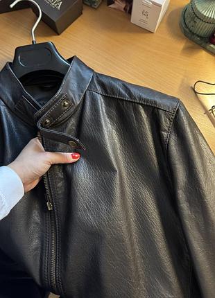 Шкірянка чоловіча