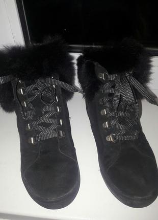 Черевики, сапоги зимові clarks.