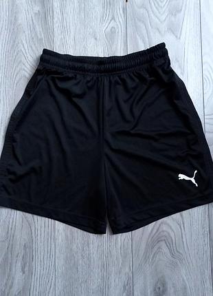 Спортивні шорти puma