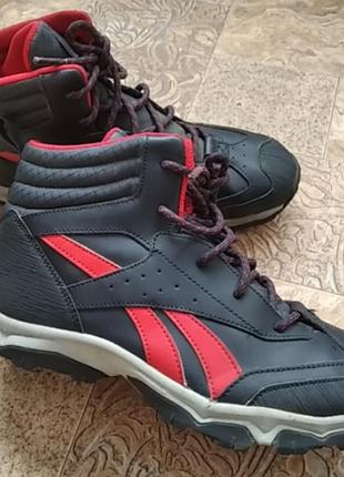 Барвисті термо