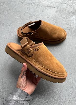 Ugg goldencoast clog chestnut — стильні та комфортні