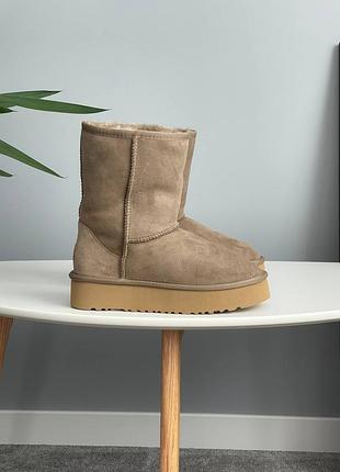 Уггі жіночі ugg short platform khaki