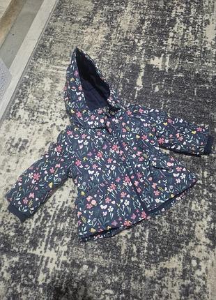 Курточка куртка