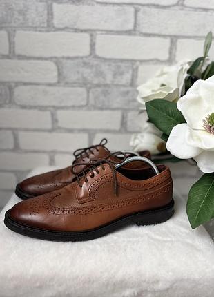 Шикарні туфлі броги