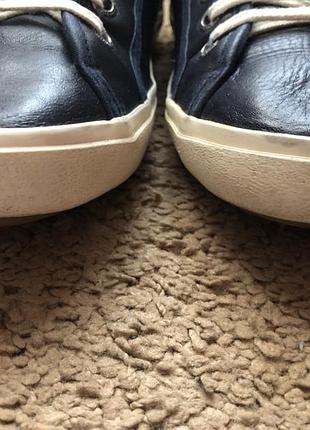 Кеды napapijri 5