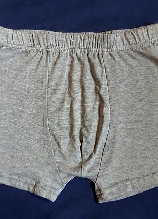 Сірі труси-боксери з німеччини розмір м