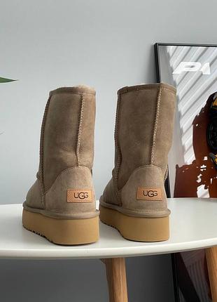 Жіночі уггі ugg 7