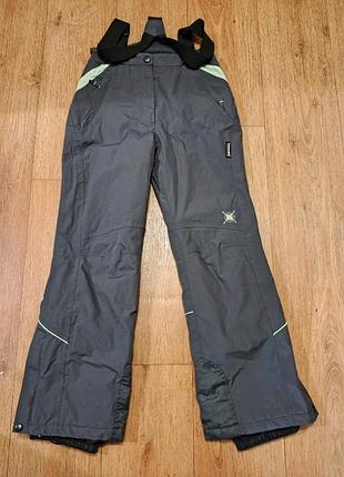 Лыжные брюки