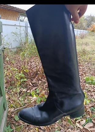 Чоботи massimo dutti