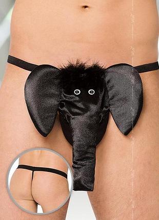 Мужские стринги - thong 4416 - black, s-l sexual toys