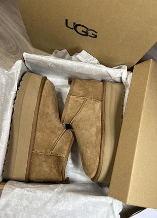 Уггі жіночі ugg classic mini platform