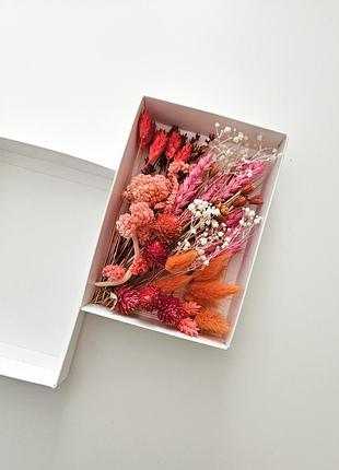 Набір сухоцвітів для декору та творчості