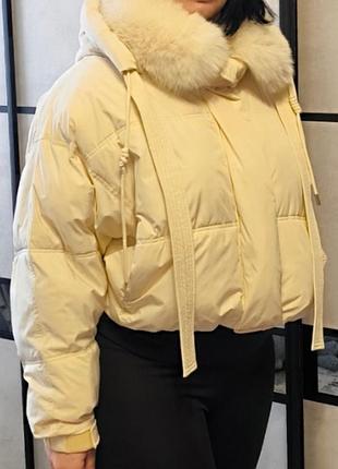 Курточка жіноча