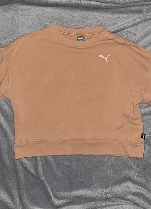 Світшот бежевий жіночий puma