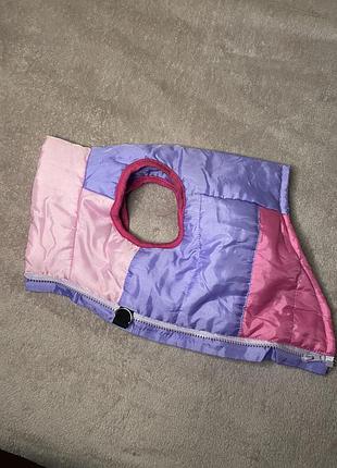 Яскрава куртка для собаки