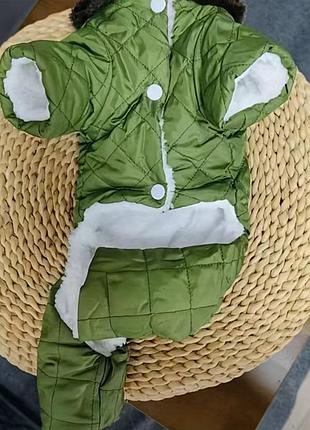 🐾 теплый зимний комбинезон для маленькой собачки 🐾