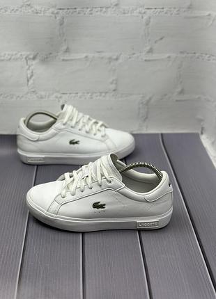 Жіночі шкіряні кросівки lacoste