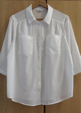 Cупер брендова сорочка блуза блузка бавовна р.46-50