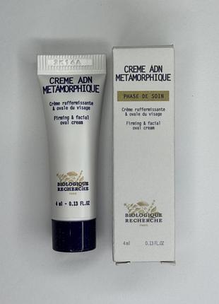Creme adn metamorphique