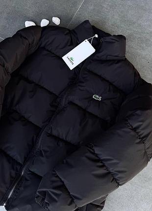 Мужская зимняя куртка с капюшоном lacoste