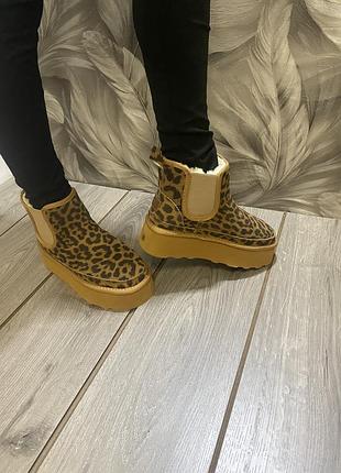 Уггі розміри з 36-41