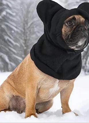 Мелейша шапуня для вашего друга🐕