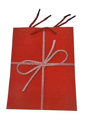 Пакет подарунковий святковий s 23*18*10см y915-s тм prc