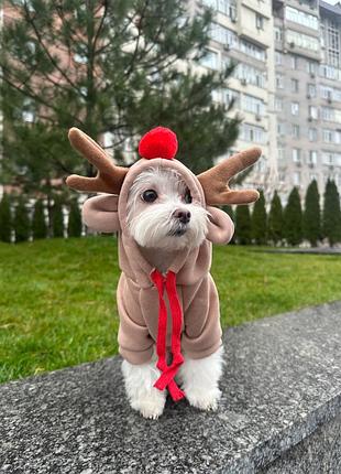 Костюм для собак новорічний оленя