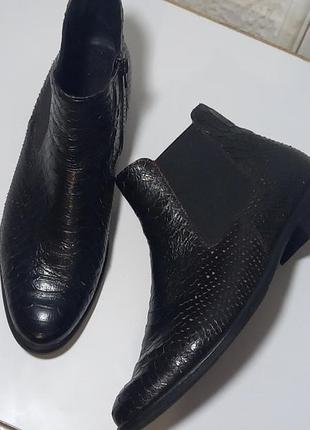 Ботинки,челси,рептилия,змея