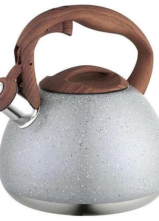 Кухонний чайник із ручкою і свистком unique, звичайний чайник зі свистком з ергономічною ручкою mw-54
