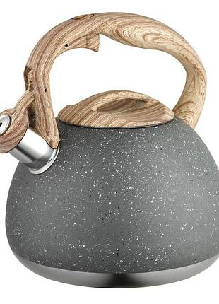 Чайник зі свистком для електроплити, чайник газовий неіржавка сталь практичний для газової плити ri-56