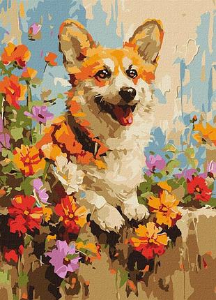Картина за номерами "коргі в квітах" kho6616 30х40 см