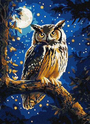 Картина по номерам "ночная сова" ©art_selena_ua kho6681 с красками металик 30х40 см