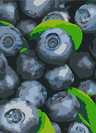 Картина по номерам сочная голубика 25*25см kho5650