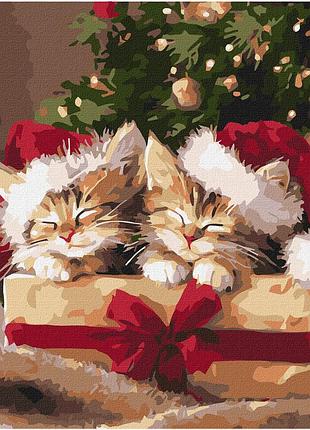 Картина по номерам "пушистые подарки" kho6827, 40х40 см