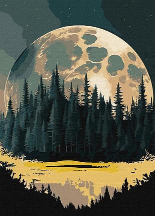 Картина по номерам тайный край с красками металлик 40*50 см идейка kho 5108 exp